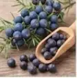 Schisandra Ingredient